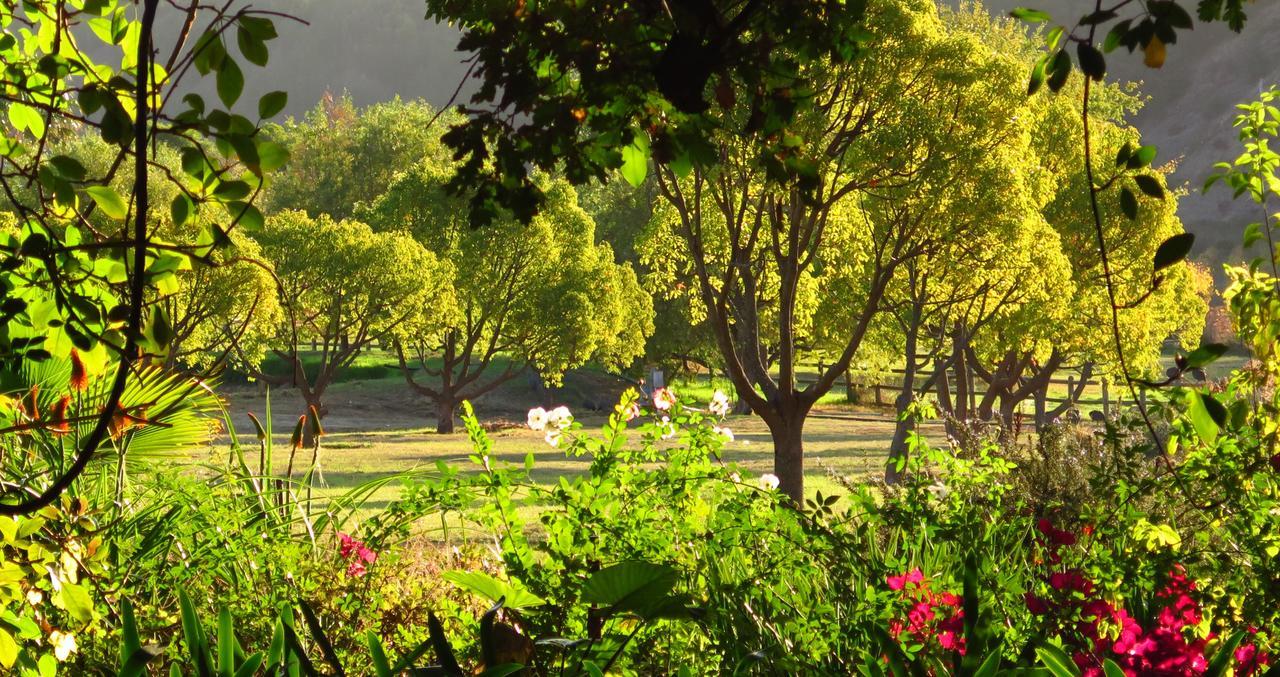 Muratie Wine Estate Stellenbosch Luaran gambar