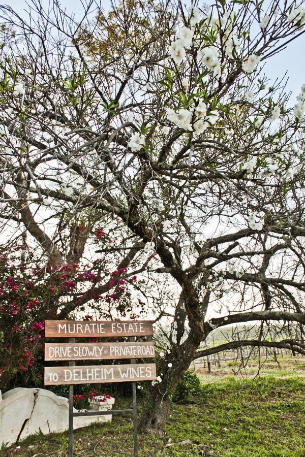 Muratie Wine Estate Stellenbosch Luaran gambar